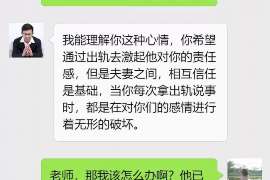 洛龙商务调查